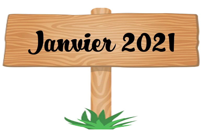Janvier 2021