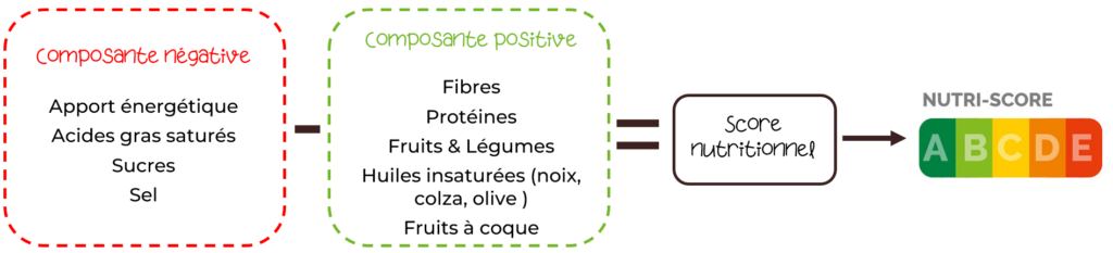 Le Nutri-Score correspond à la différence entre la composante négative et la composante positive. La composante négative correspond à l'énergie, aux graisses saturées, aux sucres et au sel. La composante positive est, quant à elle, constituée des fibres, des protéines, des fruits et légumes et des huiles insaturées (olive, noix, colza). Cette différence correspond au score nutritionnel qui est ensuite associé à une lettre du Nutri-Score.