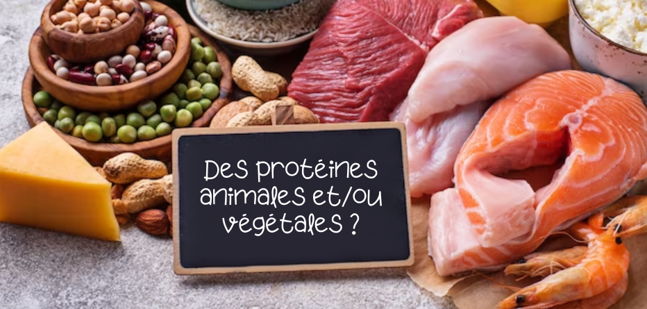 Protéines animales ou végétales